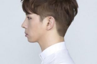 Korean Hairstyles Male short hairstyles for men korean two block .